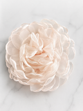 Fascinator extra large flower hairclip